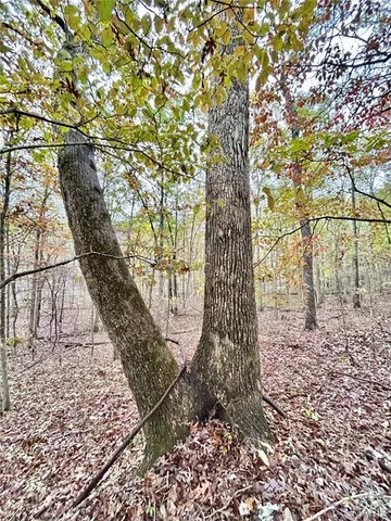 $275,000 | 1 County Road 4215, Salem, MO 65560