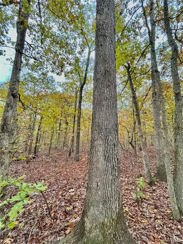 $275,000 | 1 County Road 4215, Salem, MO 65560