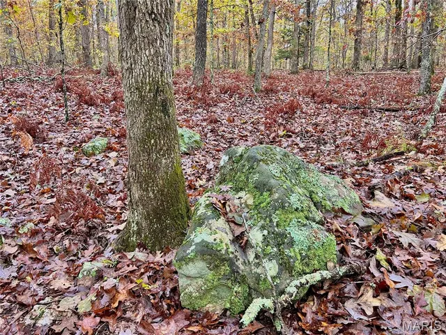 $275,000 | 1 County Road 4215, Salem, MO 65560