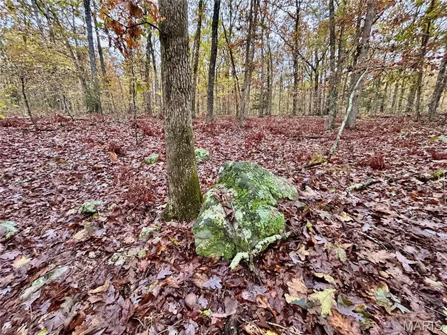 $275,000 | 1 County Road 4215, Salem, MO 65560