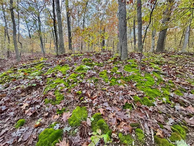 $275,000 | 1 County Road 4215, Salem, MO 65560