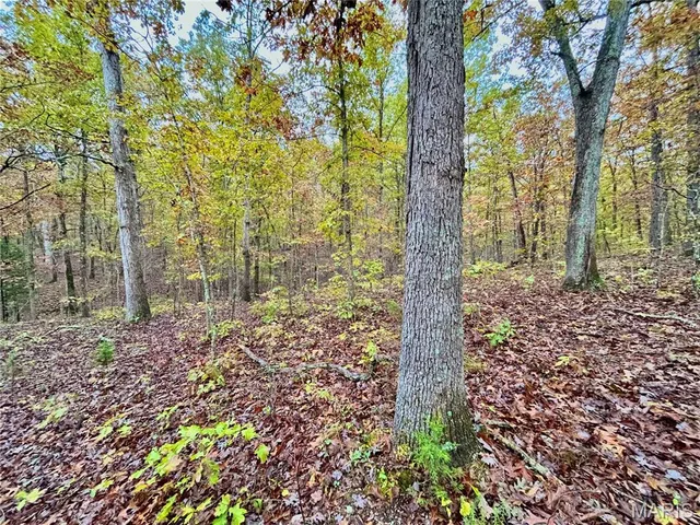 $275,000 | 1 County Road 4215, Salem, MO 65560