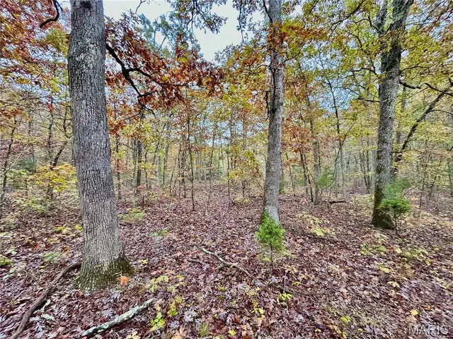 $275,000 | 1 County Road 4215, Salem, MO 65560