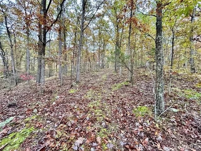 $275,000 | 1 County Road 4215, Salem, MO 65560