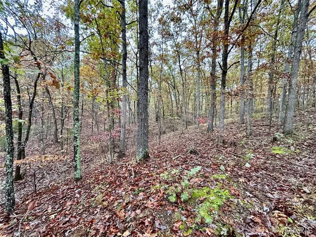 $275,000 | 1 County Road 4215, Salem, MO 65560