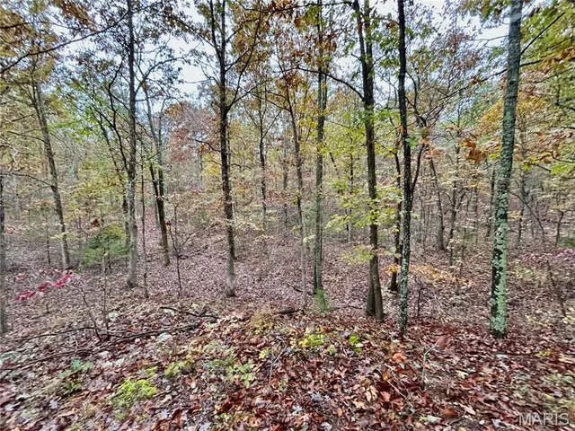 $275,000 | 1 County Road 4215, Salem, MO 65560