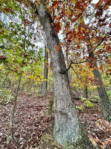 $275,000 | 1 County Road 4215, Salem, MO 65560