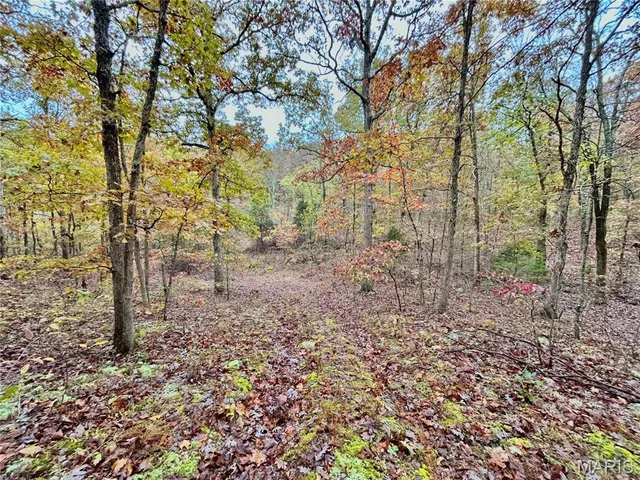 $275,000 | 1 County Road 4215, Salem, MO 65560