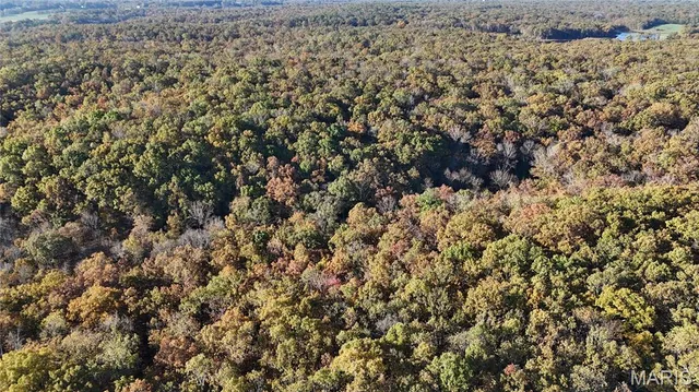 $275,000 | 1 County Road 4215, Salem, MO 65560