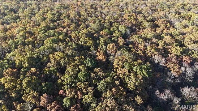 $275,000 | 1 County Road 4215, Salem, MO 65560