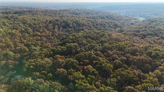 $275,000 | 1 County Road 4215, Salem, MO 65560