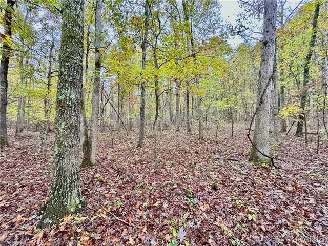 $275,000 | 1 County Road 4215, Salem, MO 65560