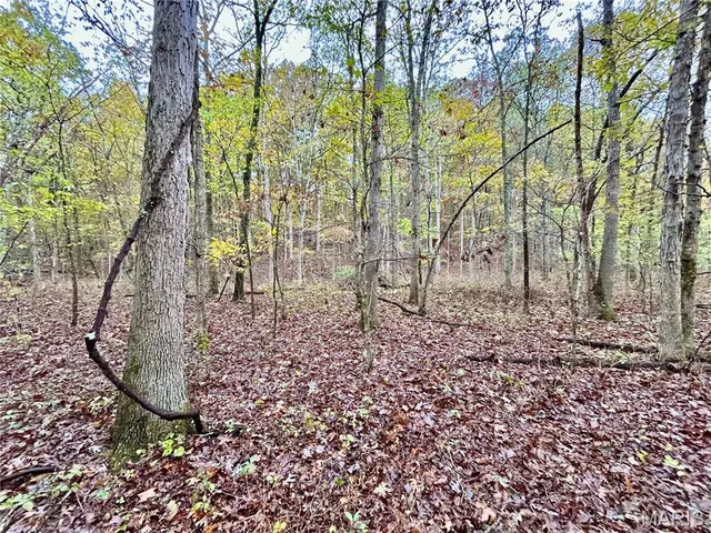 $275,000 | 1 County Road 4215, Salem, MO 65560