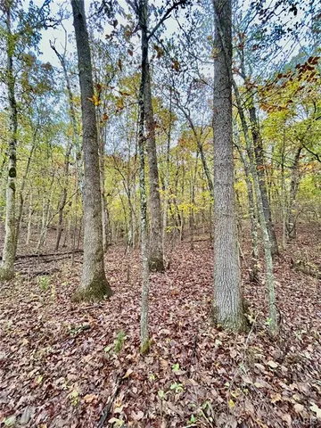 $275,000 | 1 County Road 4215, Salem, MO 65560