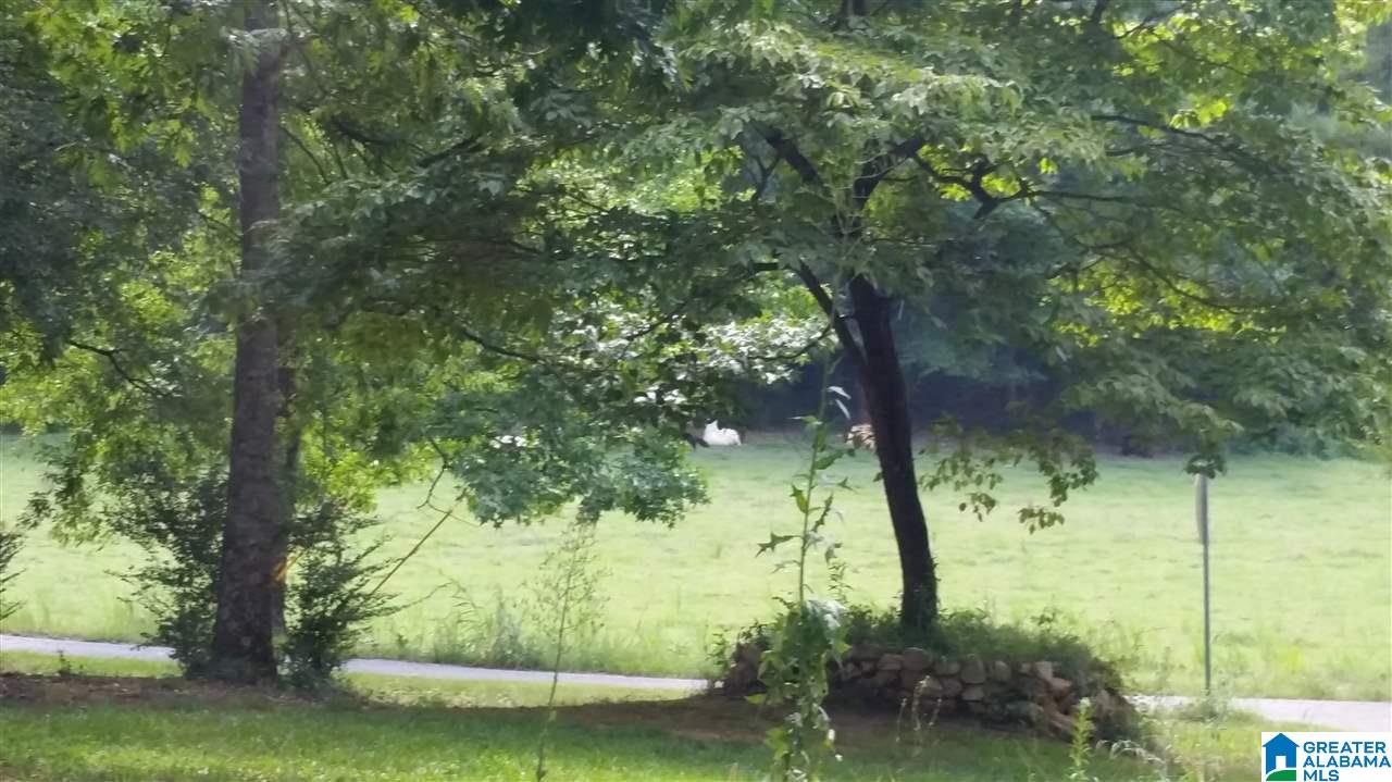 1885 Brooks Lake Road Lincoln, AL 35096 - Photo 20 of 30
