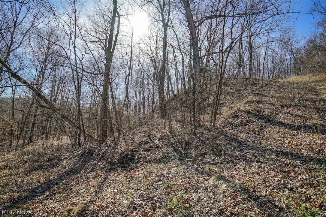 6435 Buttermilk Road Blue Rock, OH 43720 - Photo 15 of 33 Gallery Image 15