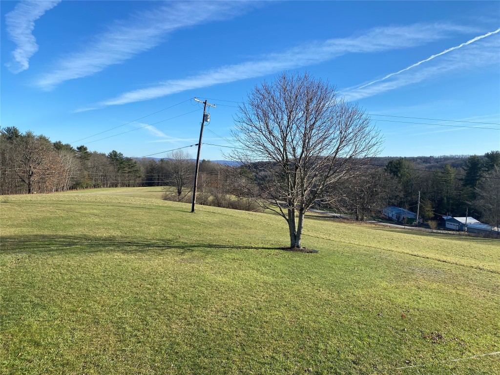293 Meade Road Port Crane, NY 13833 - Photo 2 of 46 Gallery Image 2