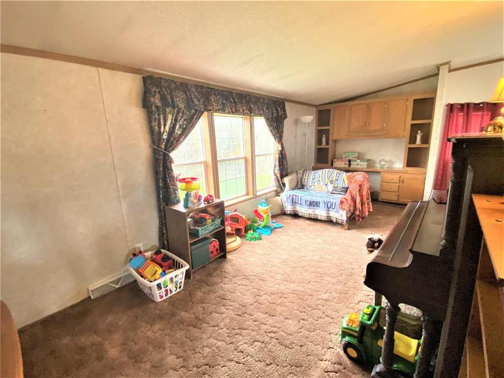 293 Meade Road Port Crane, NY 13833 - Photo 22 of 46 Gallery Image 22