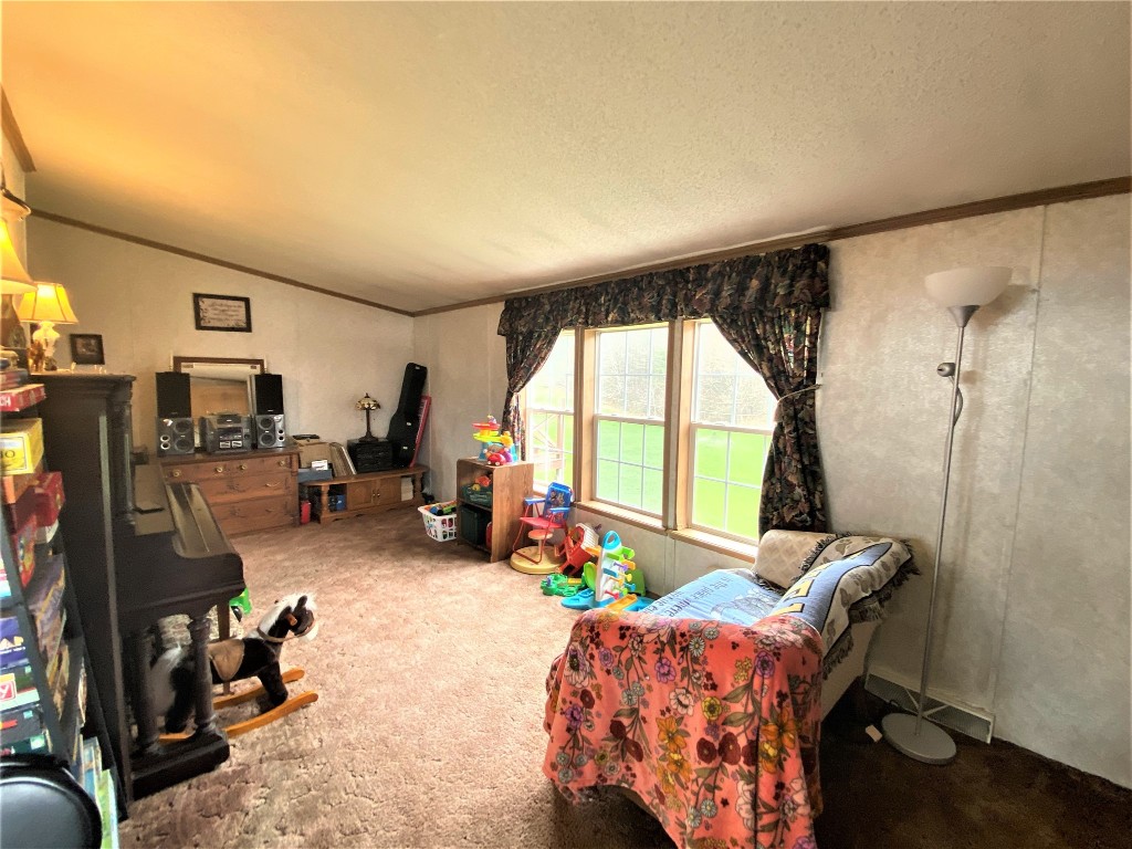 293 Meade Road Port Crane, NY 13833 - Photo 23 of 46 Gallery Image 23