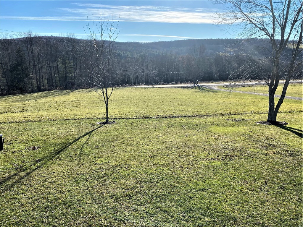 293 Meade Road Port Crane, NY 13833 - Photo 3 of 46 Gallery Image 3