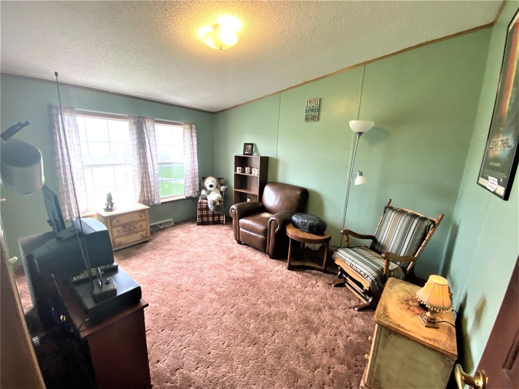 293 Meade Road Port Crane, NY 13833 - Photo 35 of 46 Gallery Image 35