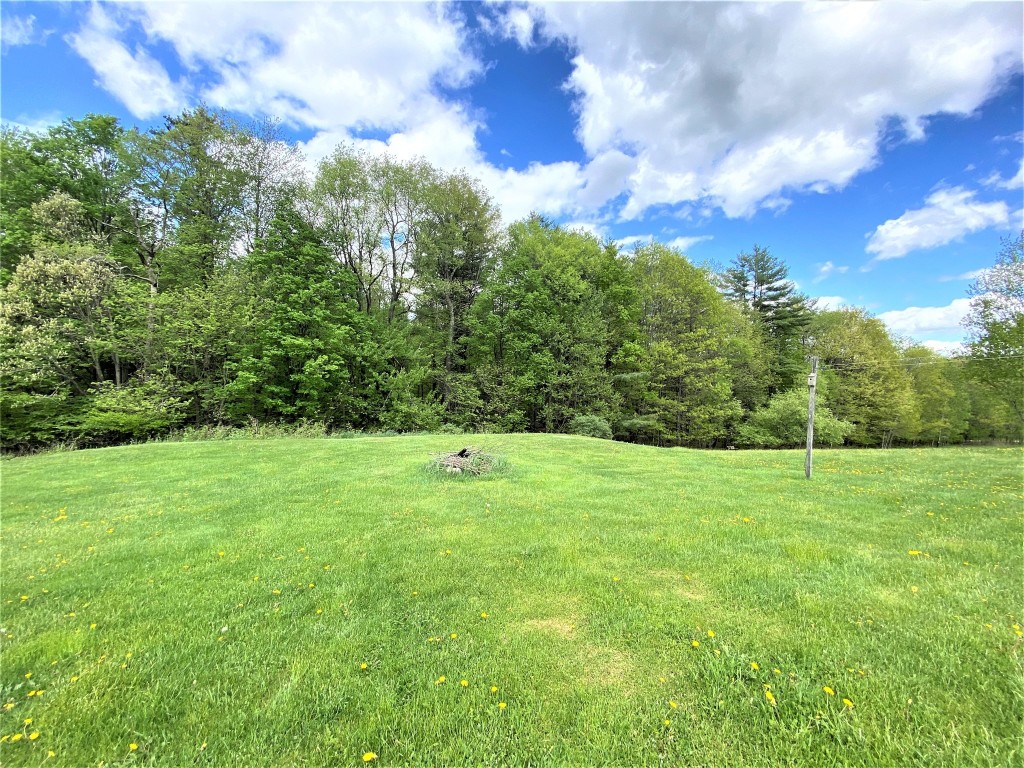 293 Meade Road Port Crane, NY 13833 - Photo 7 of 46 Gallery Image 7
