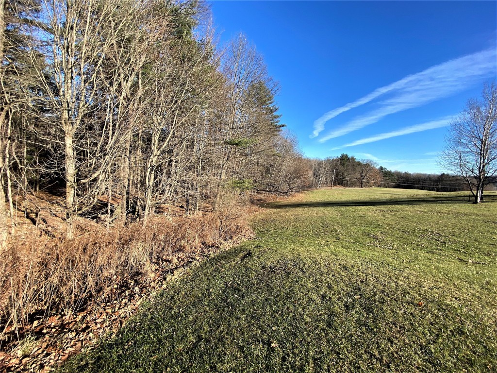 293 Meade Road Port Crane, NY 13833 - Photo 9 of 46 Gallery Image 9