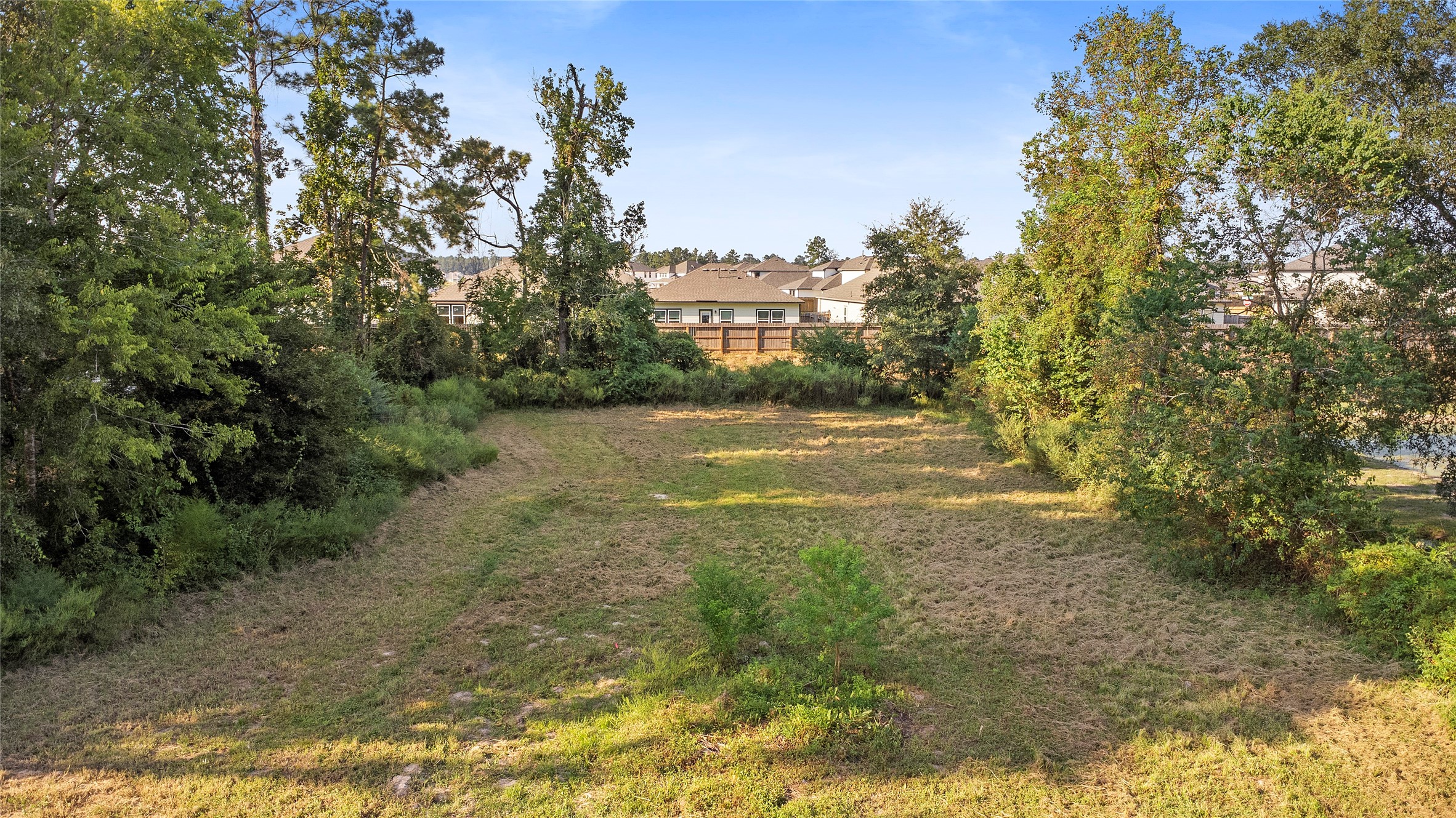 16889 Springfield Drive Conroe, TX 77302 - Photo 36 of 39