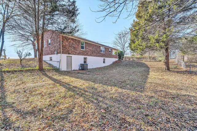 a view of a yard with large trees