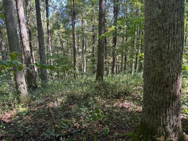Tbd Simpson Road Belington, WV 26250 - Photo 19 of 30 Gallery Image 19