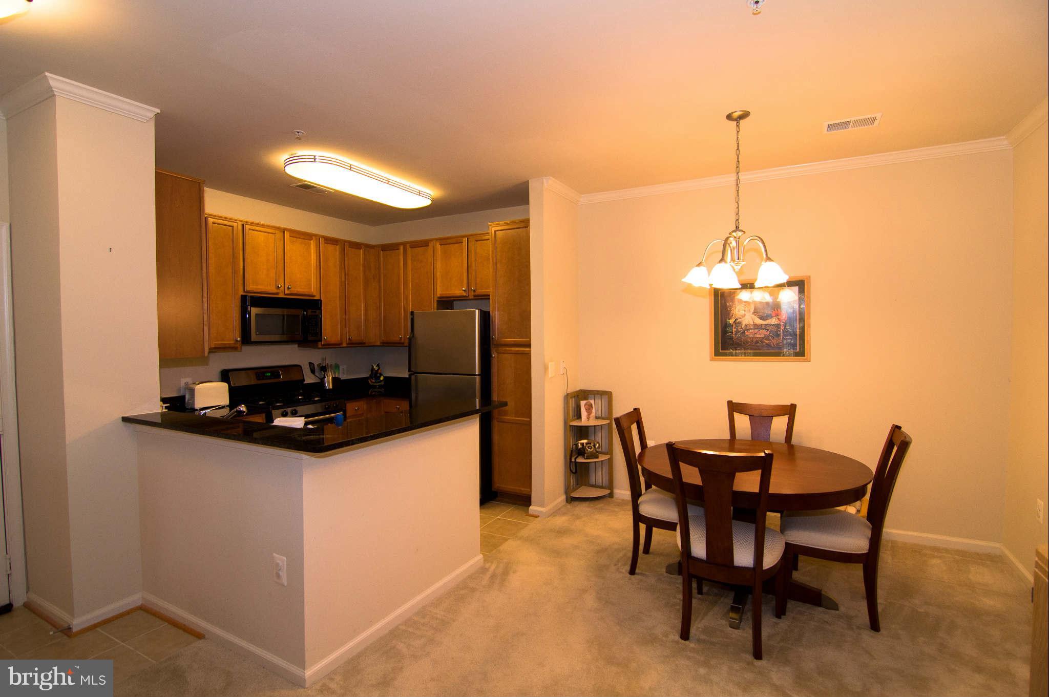 1505 North Point Drive, Unit 102 Reston, VA 20194 - Photo 10 of 29 View