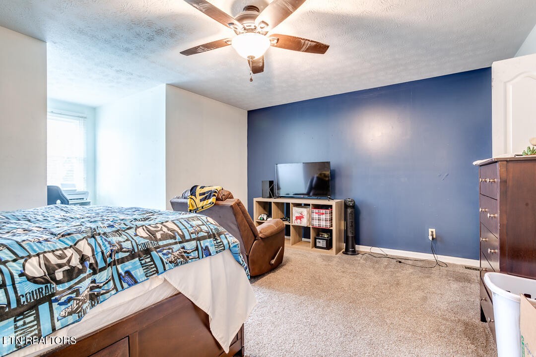 816 Tate Trotter Road Powell, TN 37849 - Photo 20 of 31 Gallery Image 20