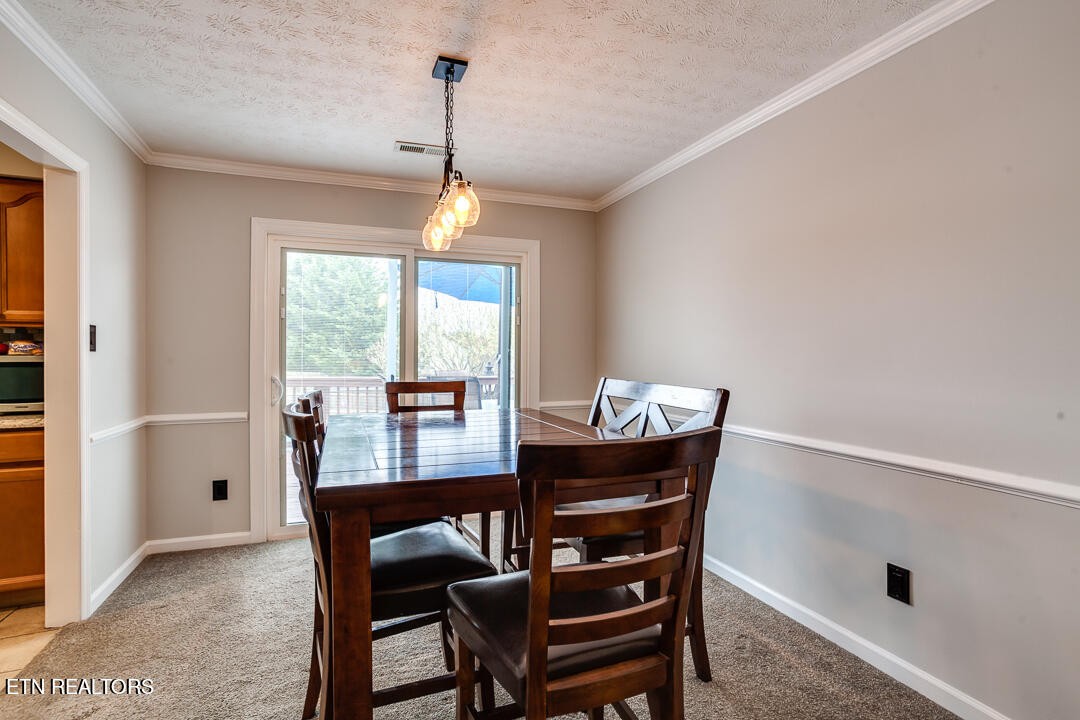 816 Tate Trotter Road Powell, TN 37849 - Photo 10 of 31 Gallery Image 10
