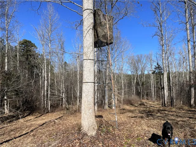 $540,000 | 6840 Lunenburg County Road, Keysville, VA 23947