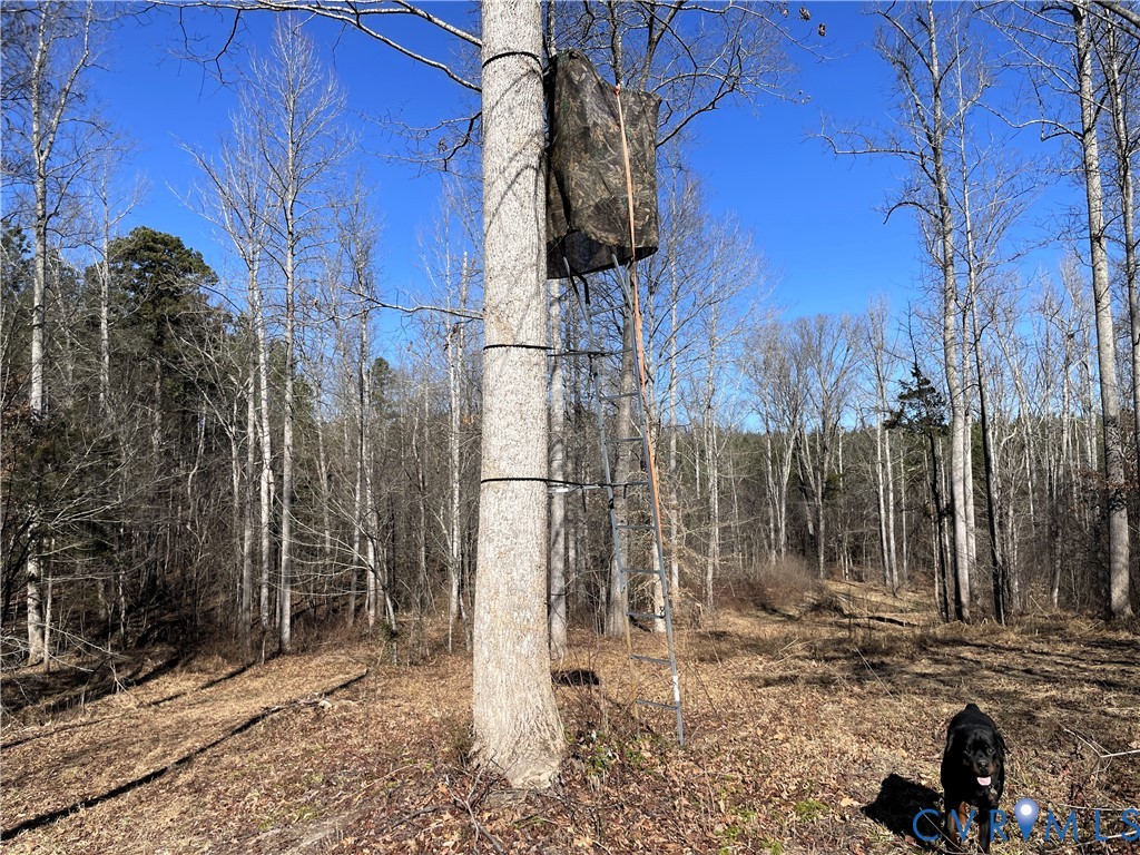 6840 Lunenburg County Road Keysville, VA 23947 - Photo 36 of 47