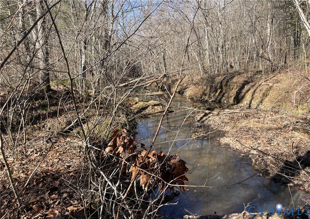 6840 Lunenburg County Road Keysville, VA 23947 - Photo 37 of 47