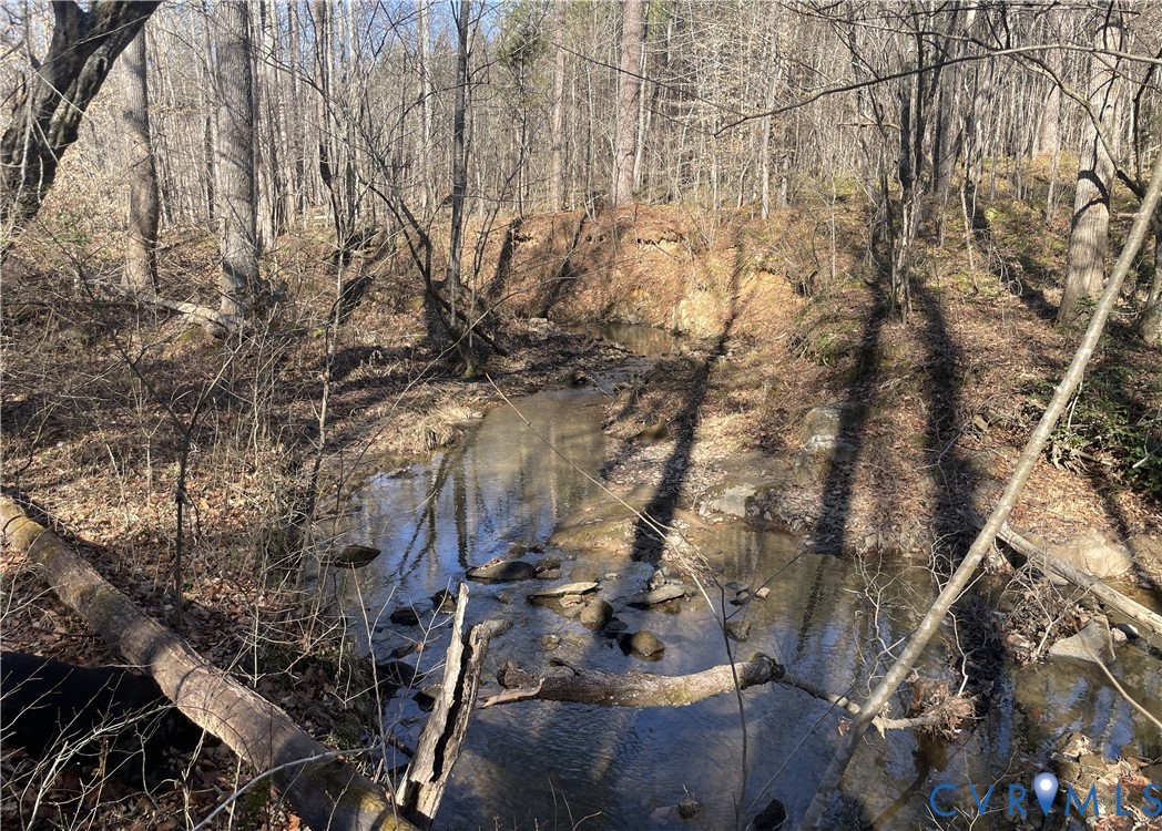 6840 Lunenburg County Road Keysville, VA 23947 - Photo 38 of 47