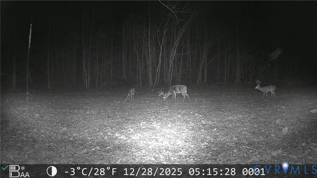 $540,000 | 6840 Lunenburg County Road, Keysville, VA 23947