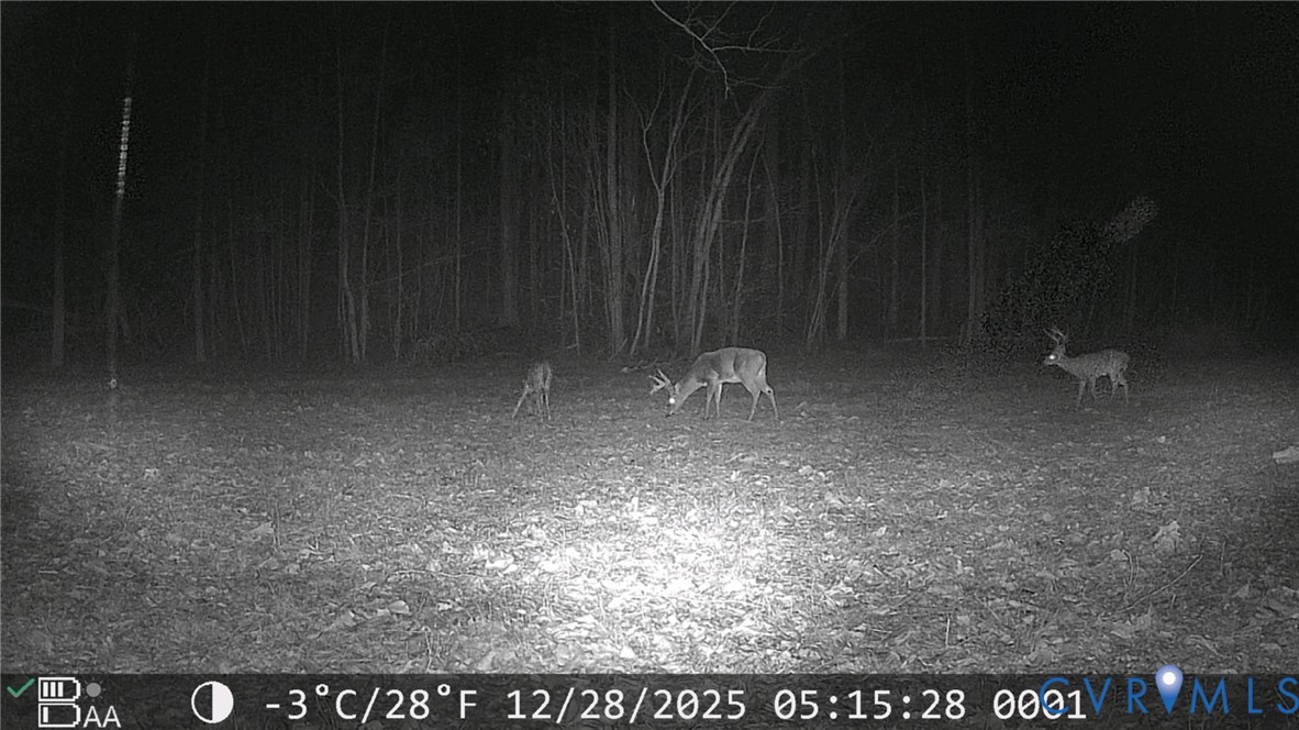 6840 Lunenburg County Road Keysville, VA 23947 - Photo 39 of 47