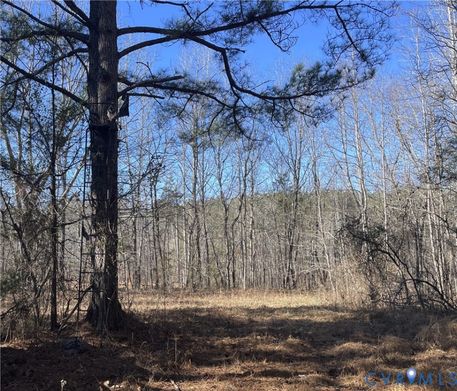 6840 Lunenburg County Road Keysville, VA 23947 - Photo 40 of 47