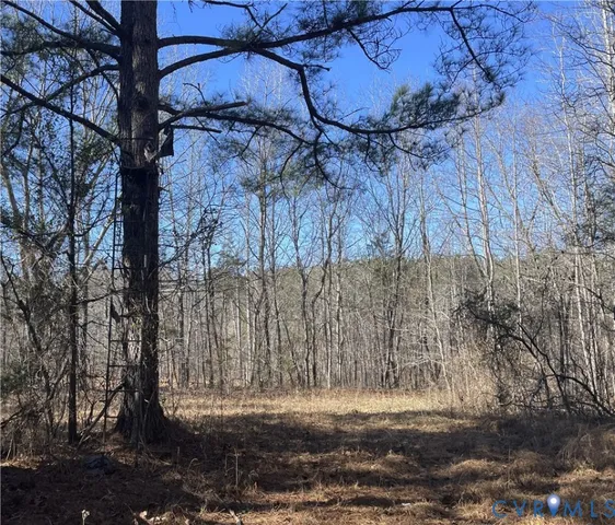 a view of a lake with a mountain