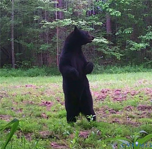 $540,000 | 6840 Lunenburg County Road, Keysville, VA 23947