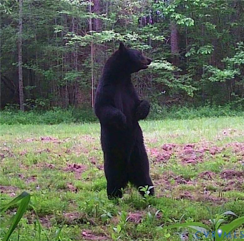 6840 Lunenburg County Road Keysville, VA 23947 - Photo 43 of 47