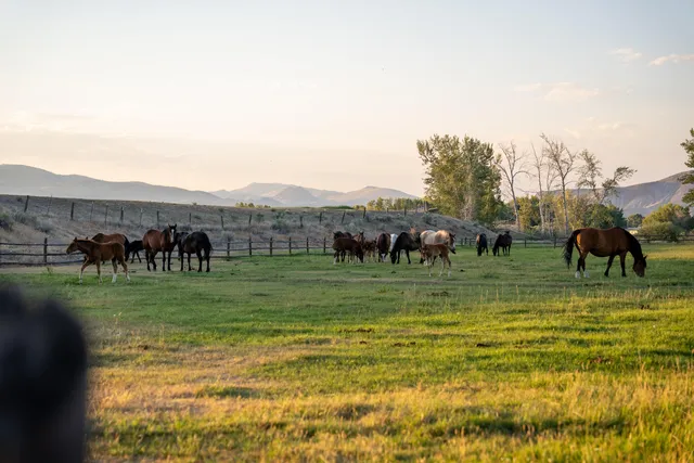 $1,400,000 | 400 Lagoon Lane, Challis, ID 83226