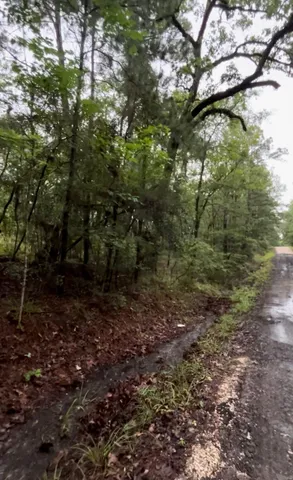 $18,500 | 0 Lake Cir Drive, Broaddus, TX 75929