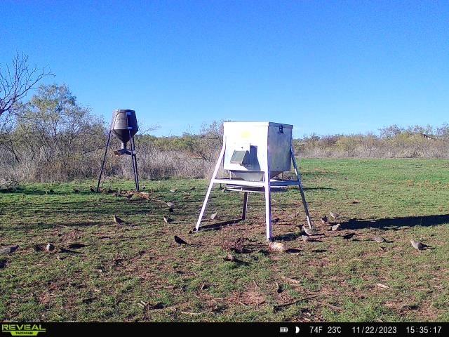 551 Blevins Road Nocona, TX 76255 - Photo 38 of 38