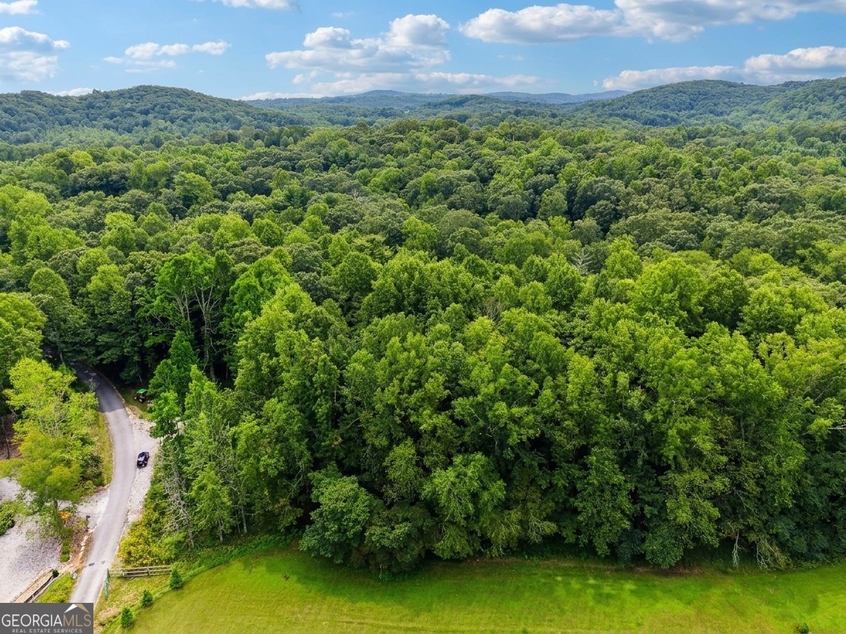 380 Guy Wimpy Road, Unit LOT 2 Dahlonega, GA 30533 - Photo 15 of 23