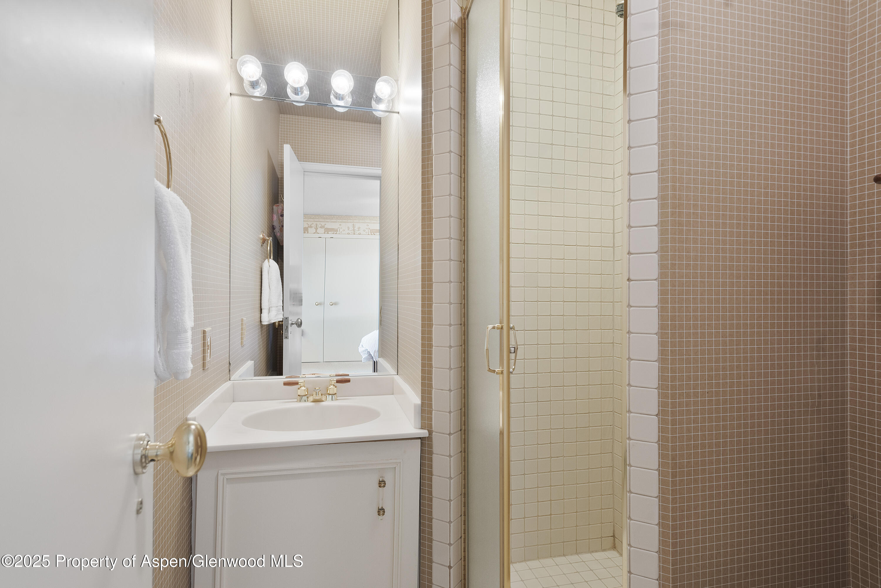 60 Northway Drive Aspen, CO 81611 - Photo 15 of 32 a bathroom with a sink a mirror and a shower