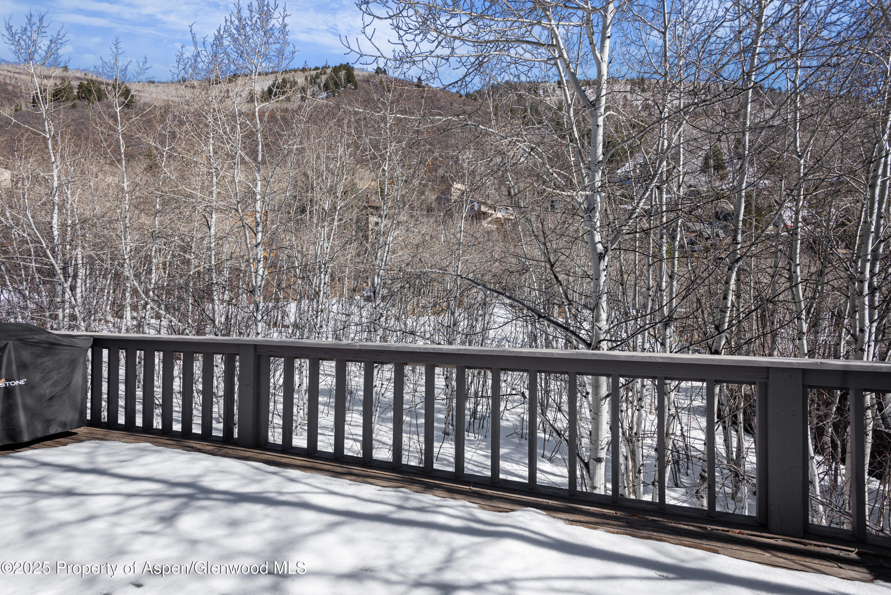 60 Northway Drive Aspen, CO 81611 - Photo 32 of 32 Views from Deck