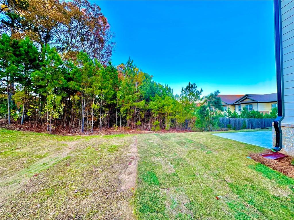 236 Vision Street Bethlehem, GA 30620 - Photo 20 of 23